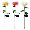 New Solar-Powered Chrysanthemum LED Garden Lamp: Outdoor Decorative Lawn Light with Simulation Flower Design, IP65 Waterproof, Stainless Steel and ABS Material, Available in White, Yellow, and Pink - Image 5